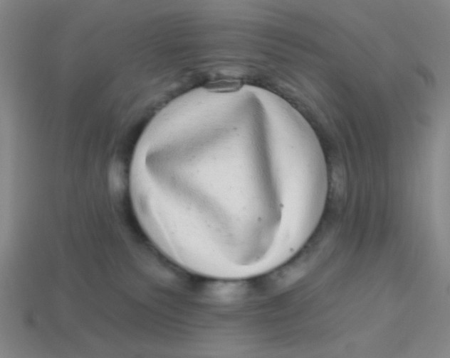 X0000113880135200910151321