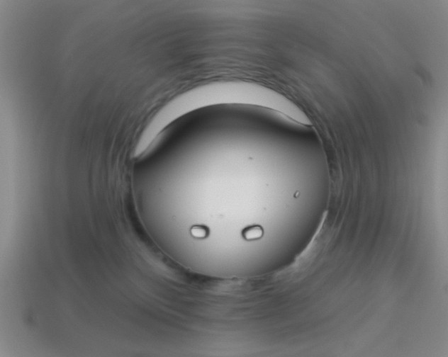 X0000113880136200910151321