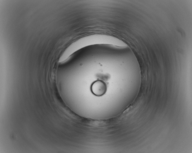 X0000113880137200910151321