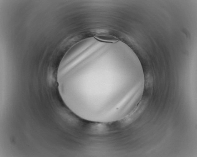 X0000113880140200910151321