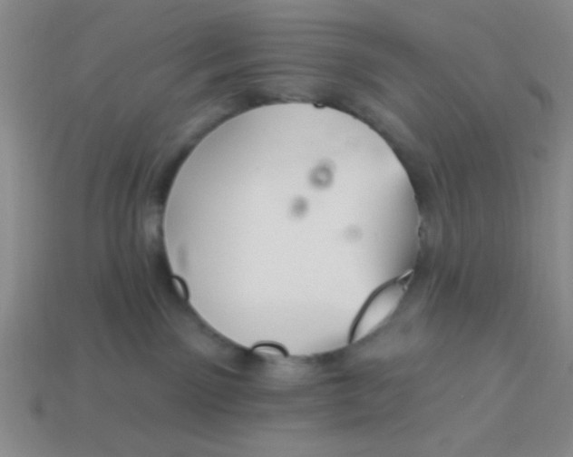 X0000113880141200910151321