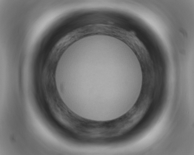 X0000113880142200910151321