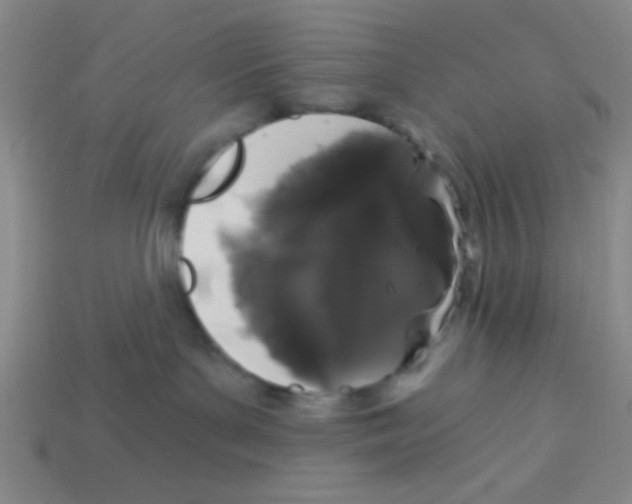 X0000113880143200910151321