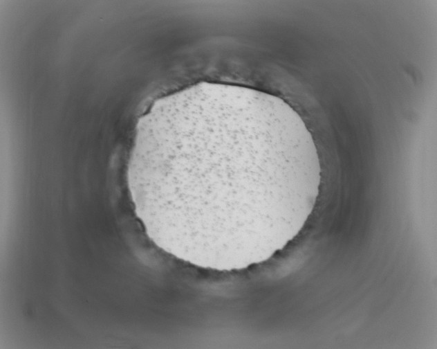 X0000113880144200910151321