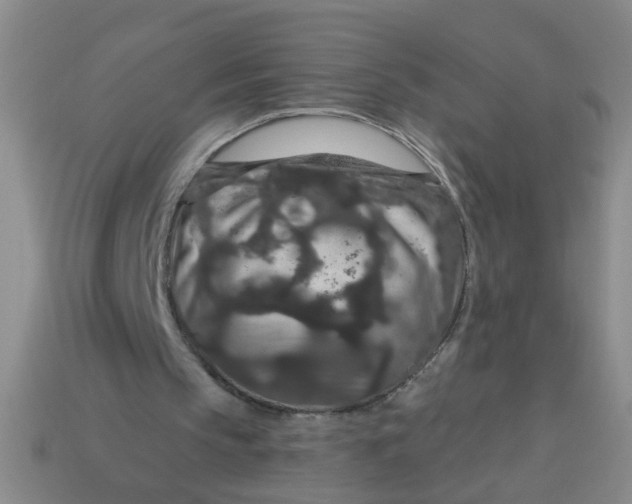 X0000113880145200910151320