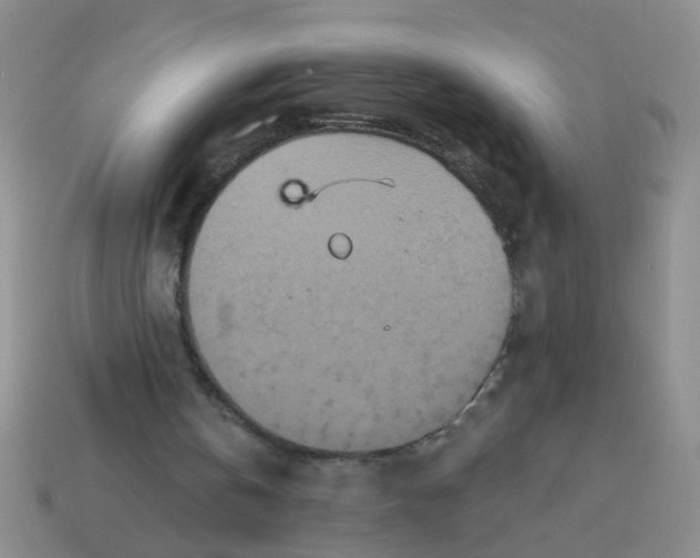 X0000113880146200910151320