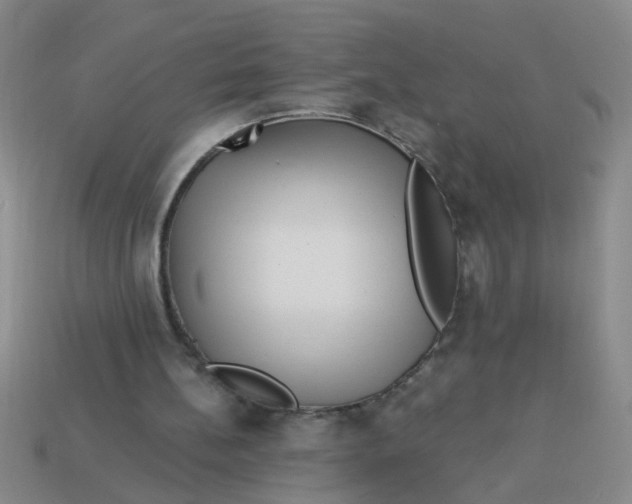 X0000113880148200910151320