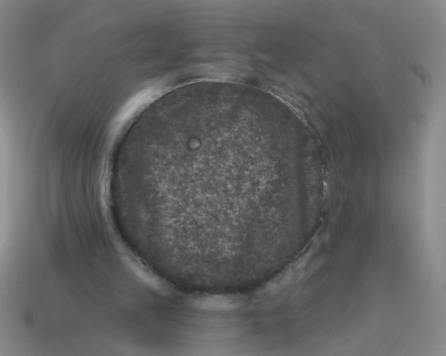 X0000113880149200910151320