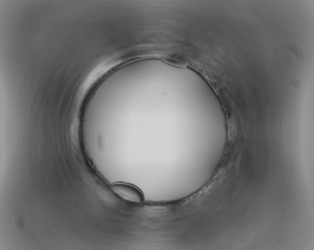 X0000113880150200910151320