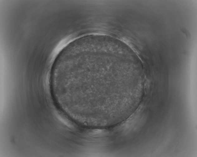 X0000113880151200910151320