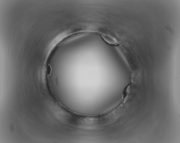 X0000113880152200910151320