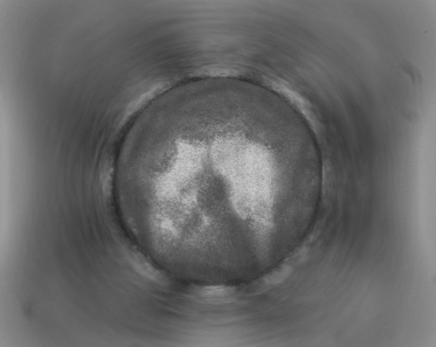 X0000113880153200910151320