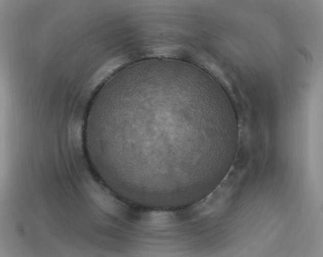 X0000113880154200910151320