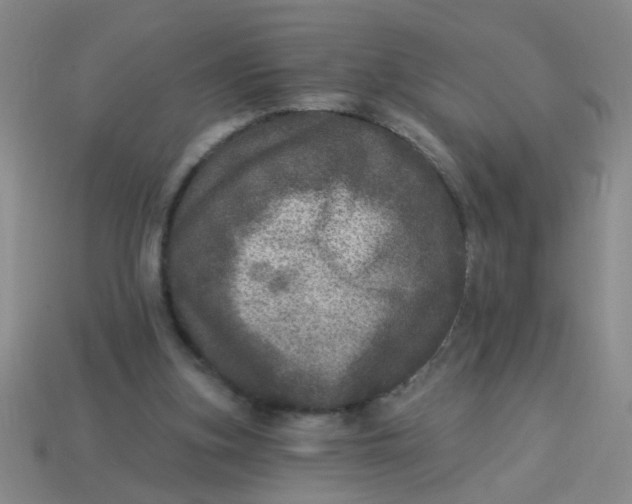 X0000113880155200910151320