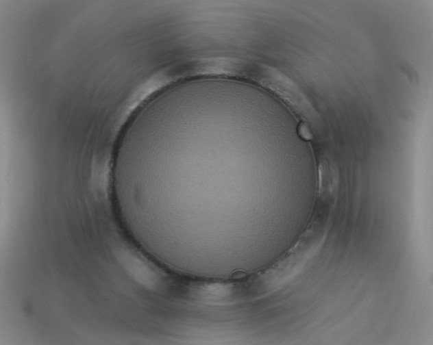 X0000113880156200910151320