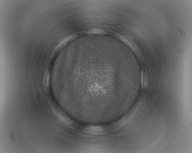 X0000113880157200910151320