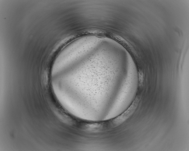 X0000113880158200910151320