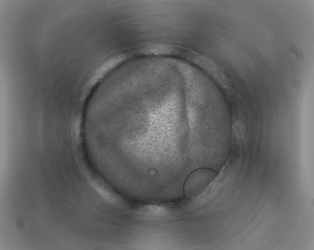 X0000113880159200910151320