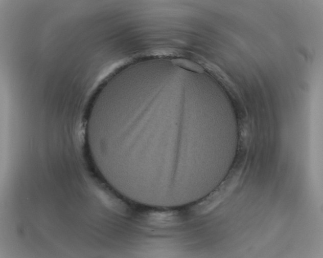 X0000113880160200910151320