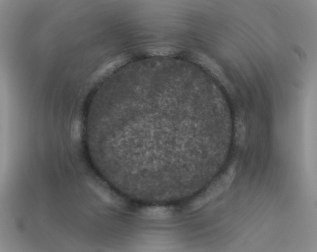 X0000113880161200910151320