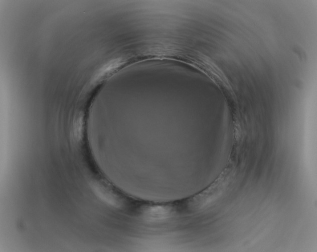 X0000113880163200910151320