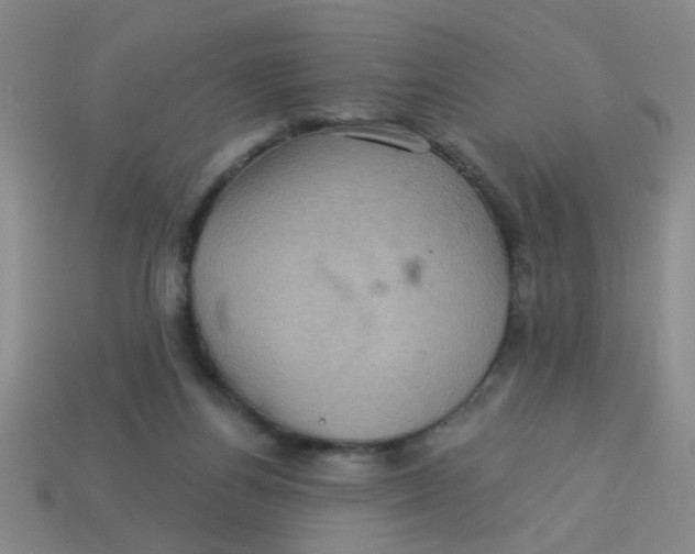 X0000113880164200910151320