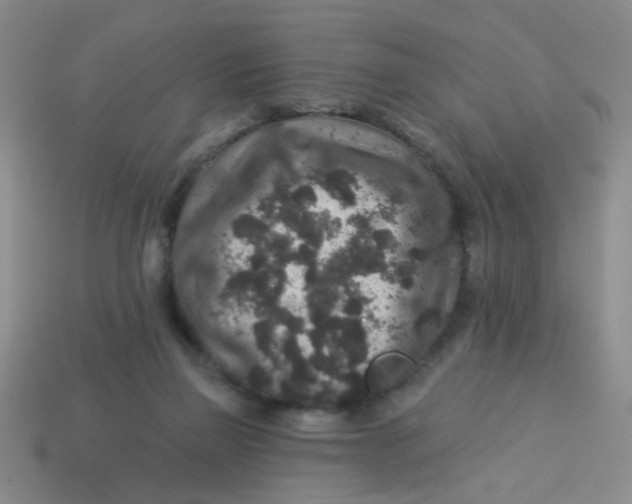 X0000113880165200910151320