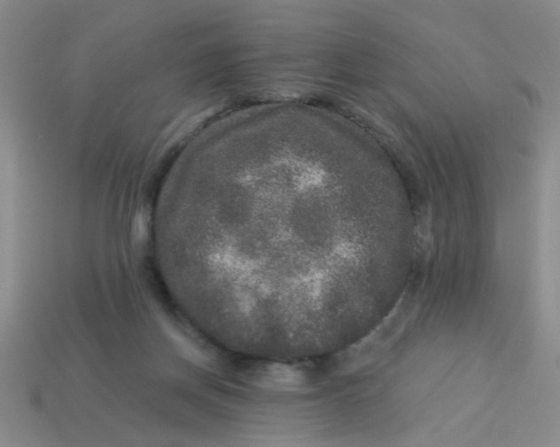 X0000113880166200910151320