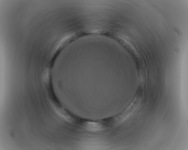 X0000113880167200910151320