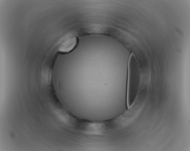 X0000113880168200910151320