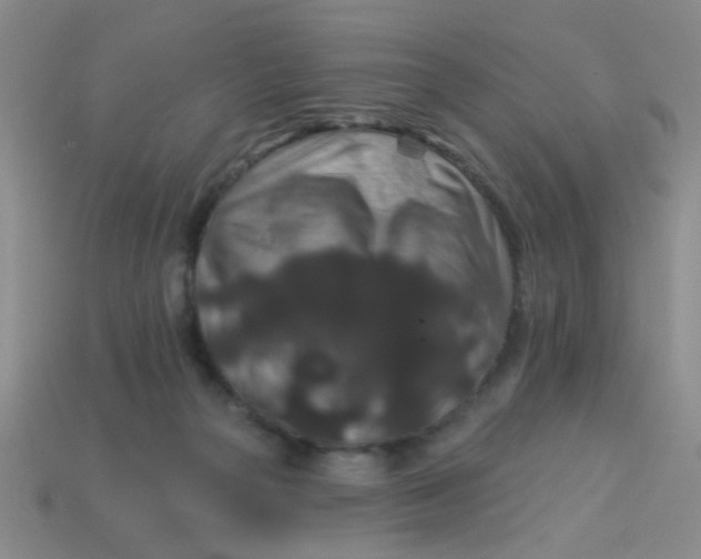 X0000113880169200910151320