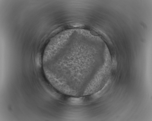 X0000113880170200910151320