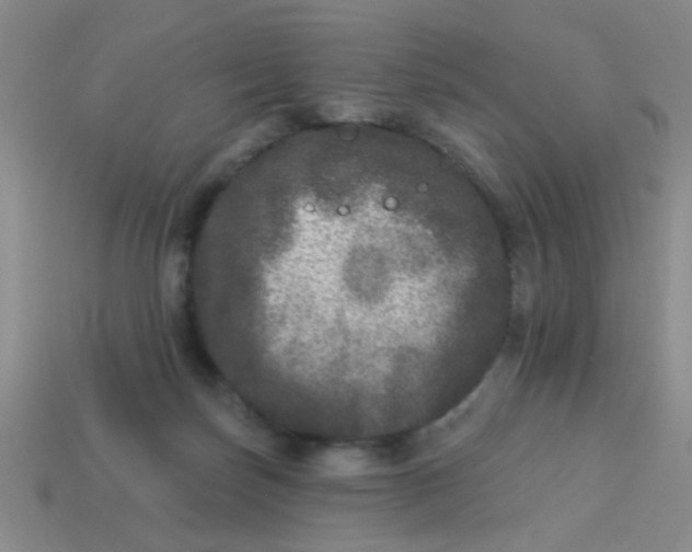 X0000113880171200910151320