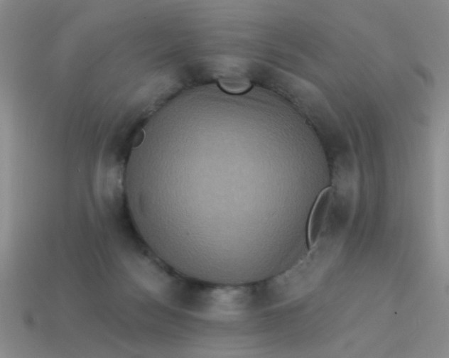 X0000113880172200910151321