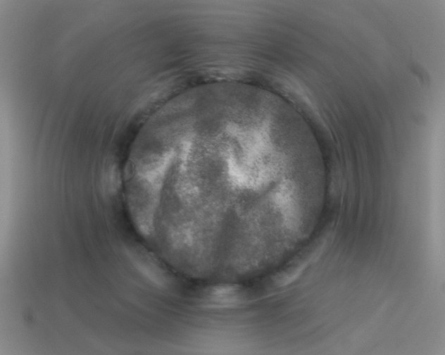 X0000113880173200910151321