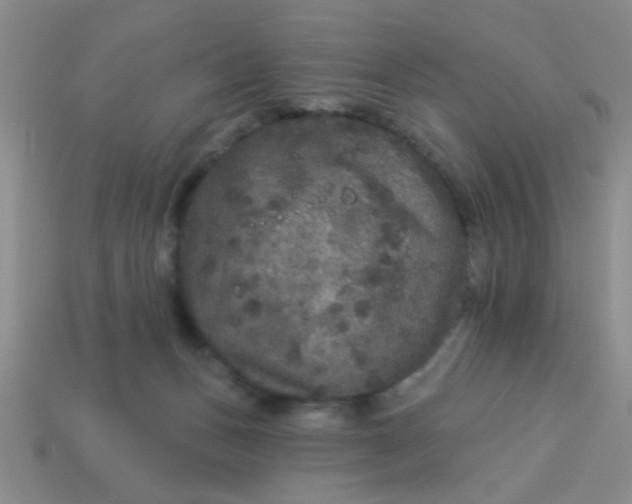 X0000113880175200910151321