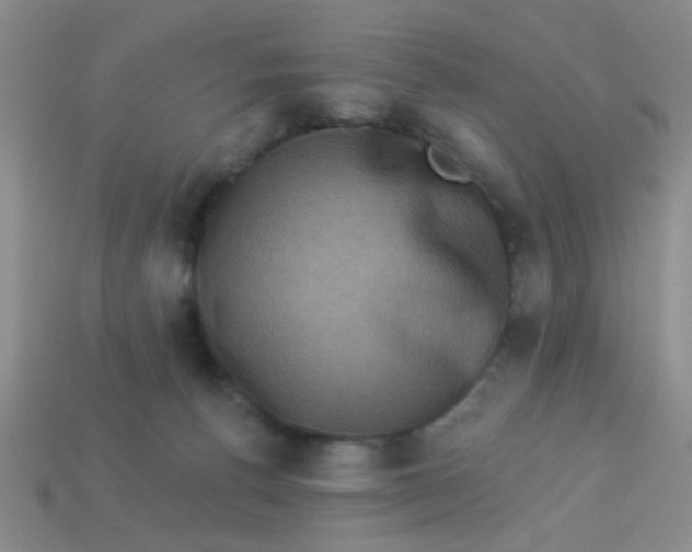 X0000113880176200910151321