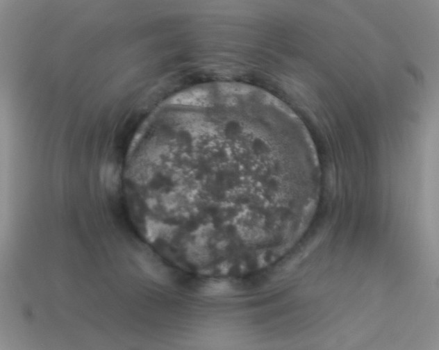 X0000113880177200910151321