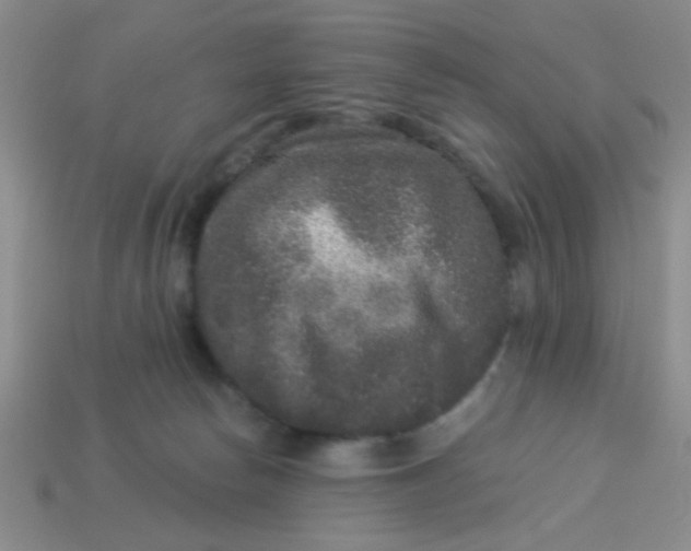 X0000113880178200910151321