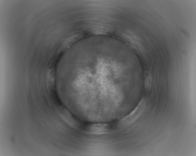 X0000113880179200910151321