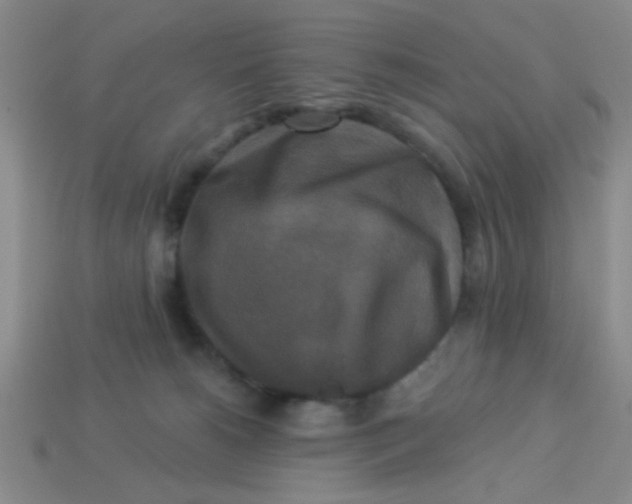 X0000113880180200910151321