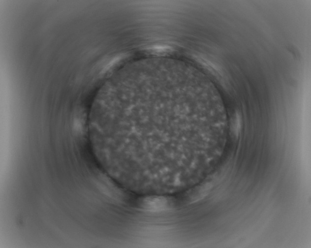 X0000113880181200910151321