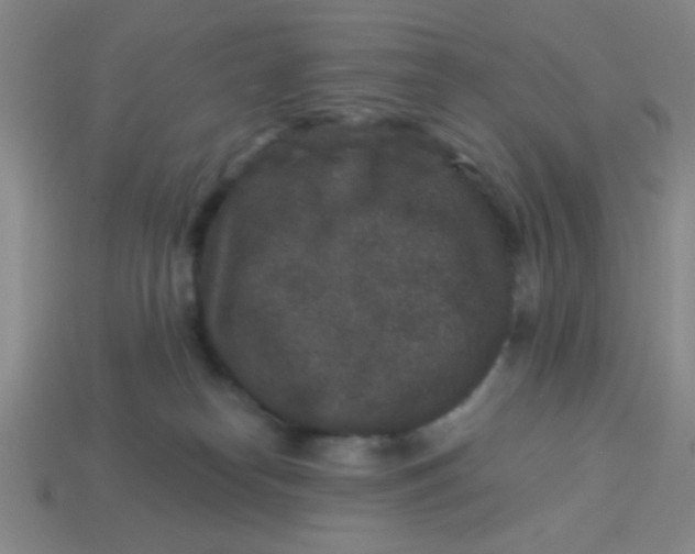 X0000113880182200910151321