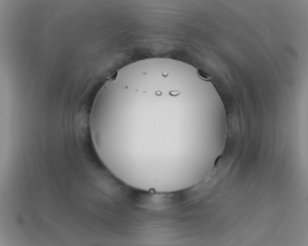 X0000113880184200910151321