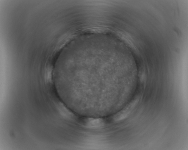 X0000113880185200910151321