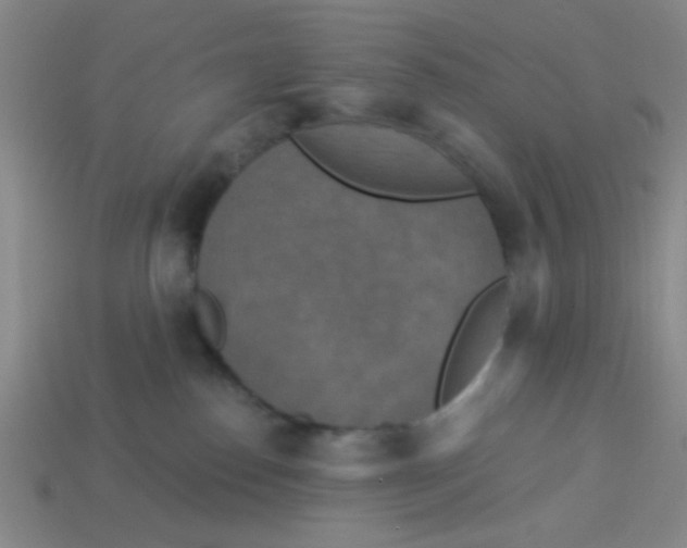 X0000113880186200910151321