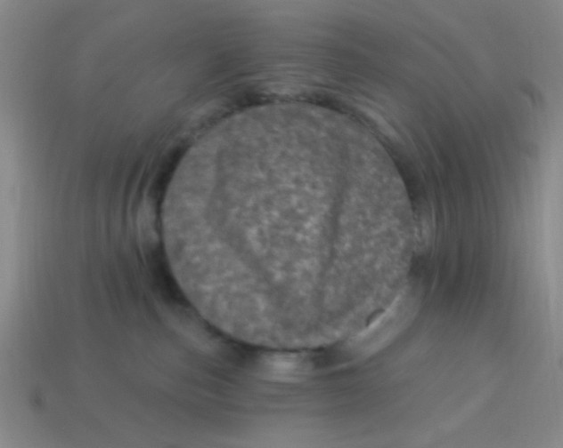 X0000113880187200910151321