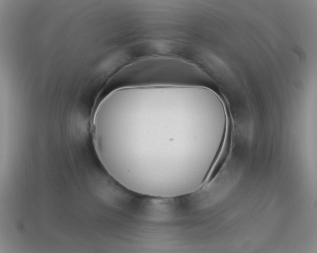 X0000113880188200910151321