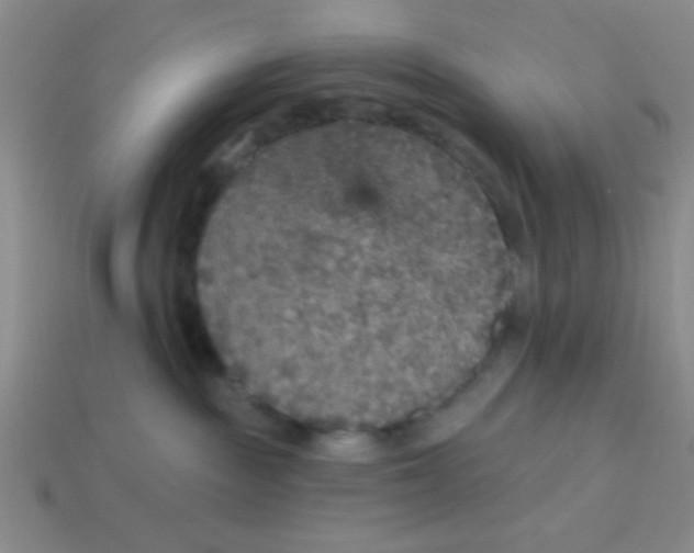 X0000113880189200910151321