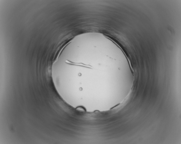 X0000113880190200910151321